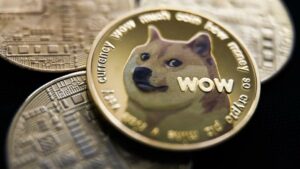 5 key memecoin advice for managing the chaos