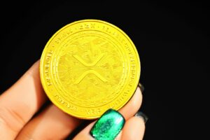 CTO of Ripple Rejects $237 Million in XRP Buy Theory in the midst of claims of manipulation