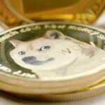 The Future of Meme Coins: Speculation, Community, and Market Risk