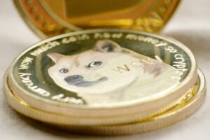 The Future of Meme Coins: Speculation, Community, and Market Risk