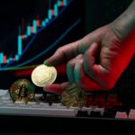 What exactly are alternative cryptocurrencies ALT COINS and why are they so important?